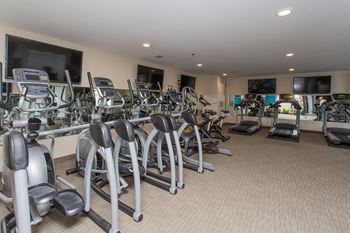 Fitness center with ellipticals and treadmills
